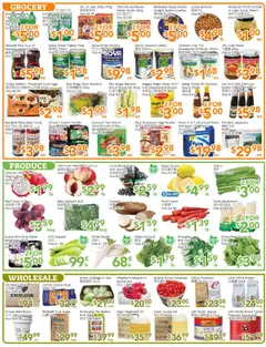 Ample Food Market flyer valid from 22.08.2025 | Page: 3 | Products: Carrot, Grill, Oil, Tomatoes