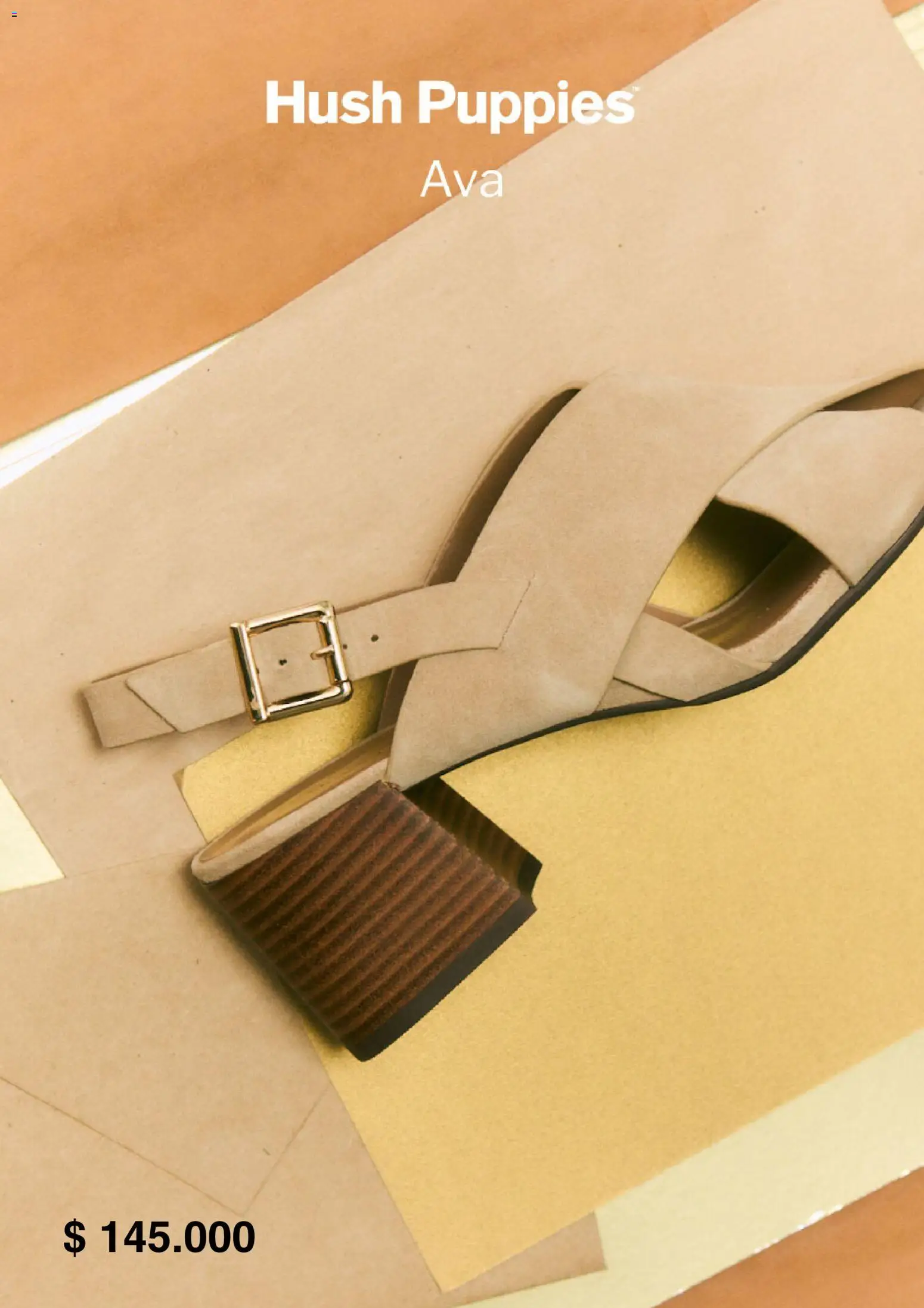 Grimoldi catálogo │ válido desde el 01.11.2025 | Página: 5