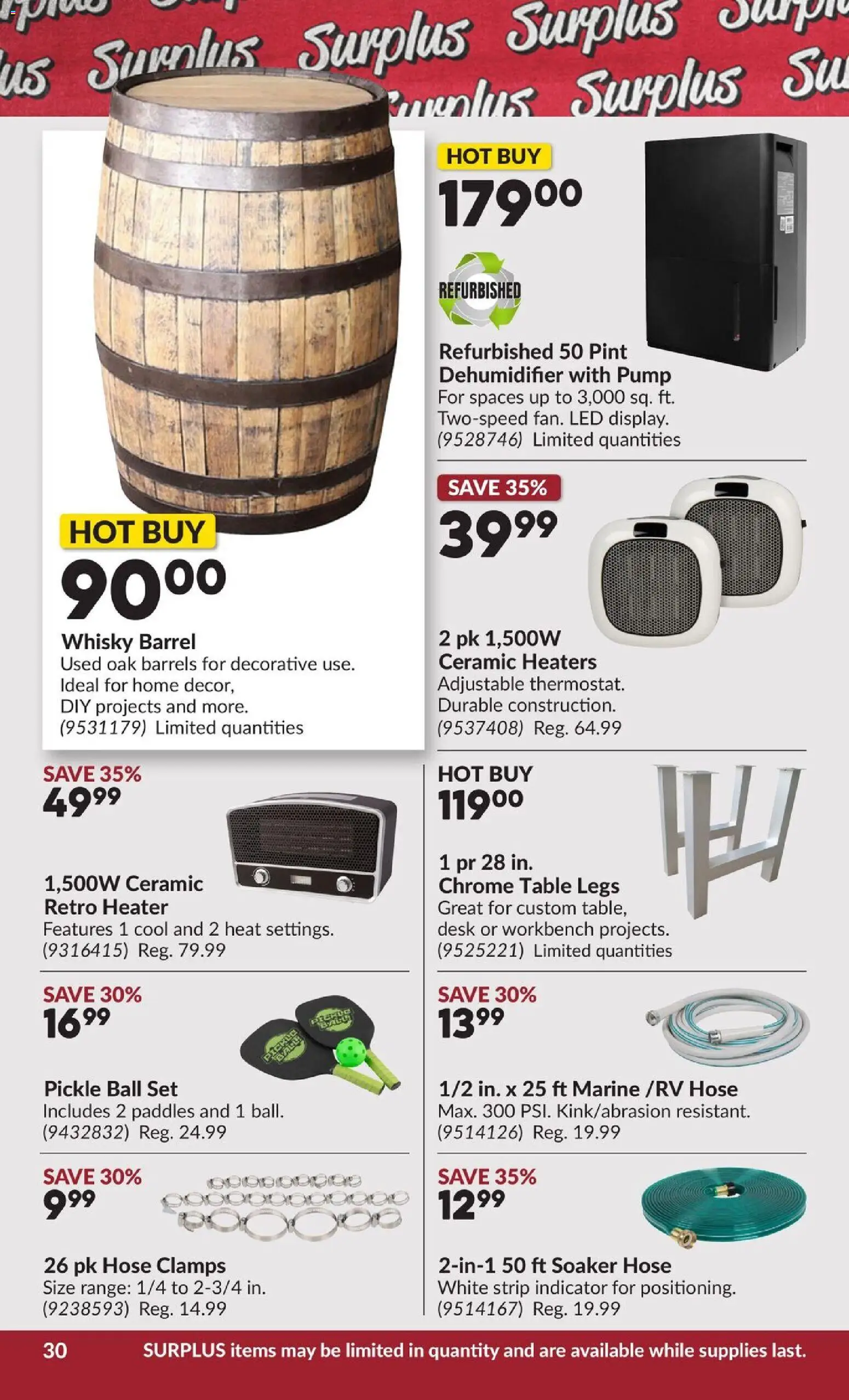 Princess Auto flyer valid from 13.01.2026 | Page: 36 | Products: Table