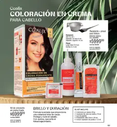 Vista previa Millanel - Catálogo válido desde el 02.03.2026 | Página: 137 | Productos: Pincel, Serum, Repasador, Brillo