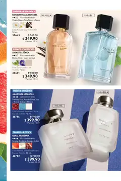 Vista previa de Oriflame campaña 4 2026, nuevo folleto de la tienda, válido en México a partir del 07.03.2026 | Página: 50 | Productos: Pimienta, Eau de toilette