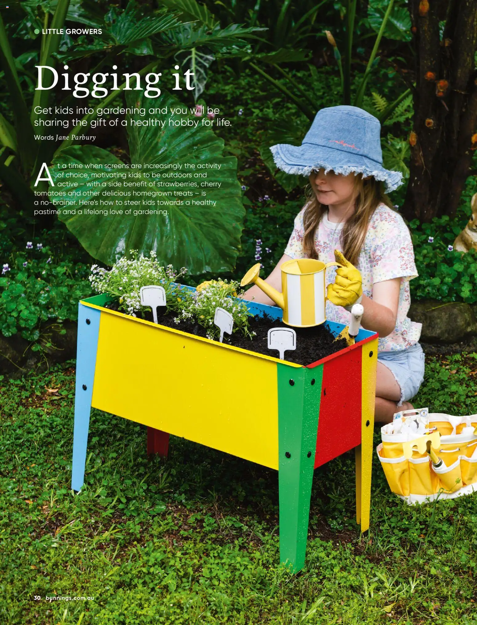 Bunnings Warehouse catalogue - valid from 01.02.2026 | Page: 30 | Products: Tomatoes