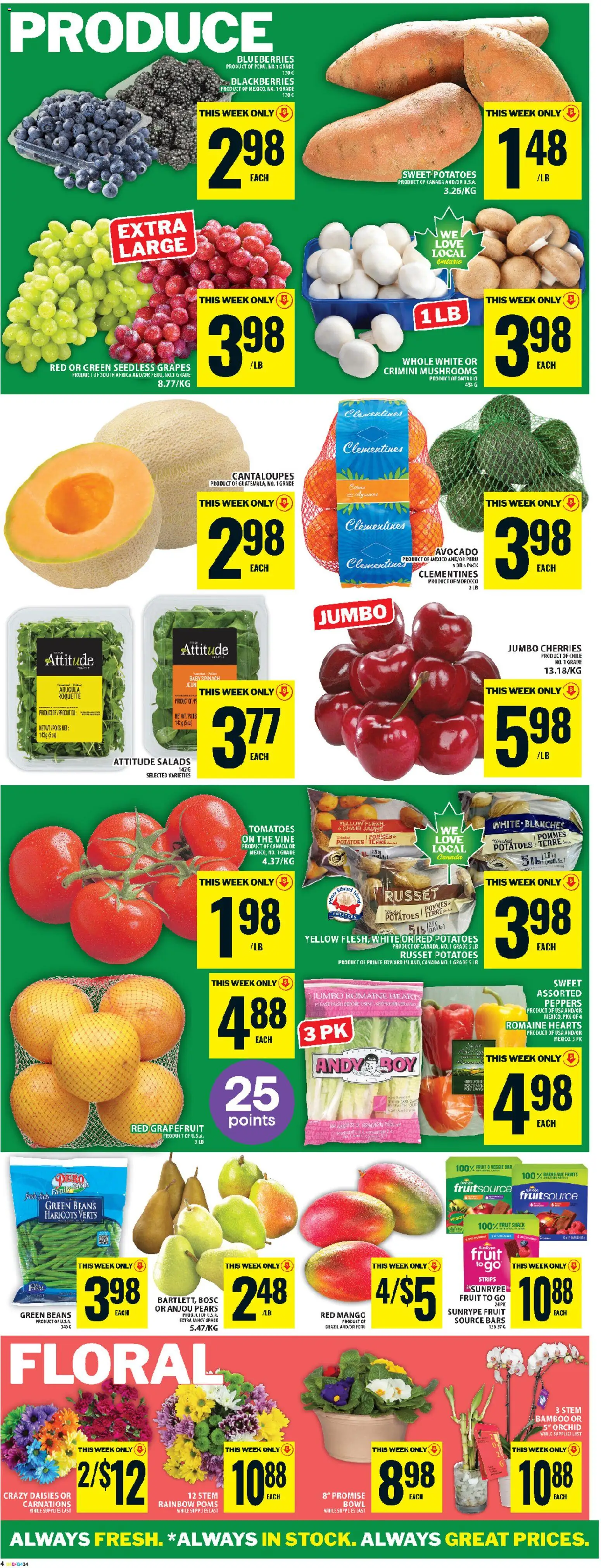 Food Basics flyer valid from 15.01.2026 | Page: 7 | Products: Potatoes, Chair, Tomatoes
