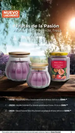 Vista previa de Home Interiors catálogo Magia de las Velas , nuevo folleto de la tienda, válido en México a partir del 31.03.2025 | Página: 5 | Productos: Fresa, Frasco, Vela
