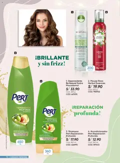 Vista previa de folleto Azzorti - Campaña C17 Plus /2025 de la Azzorti válido desde 15.10.2025 | Página: 70 | Productos: Shampoo, Acondicionador, Aceite, Aceite de oliva