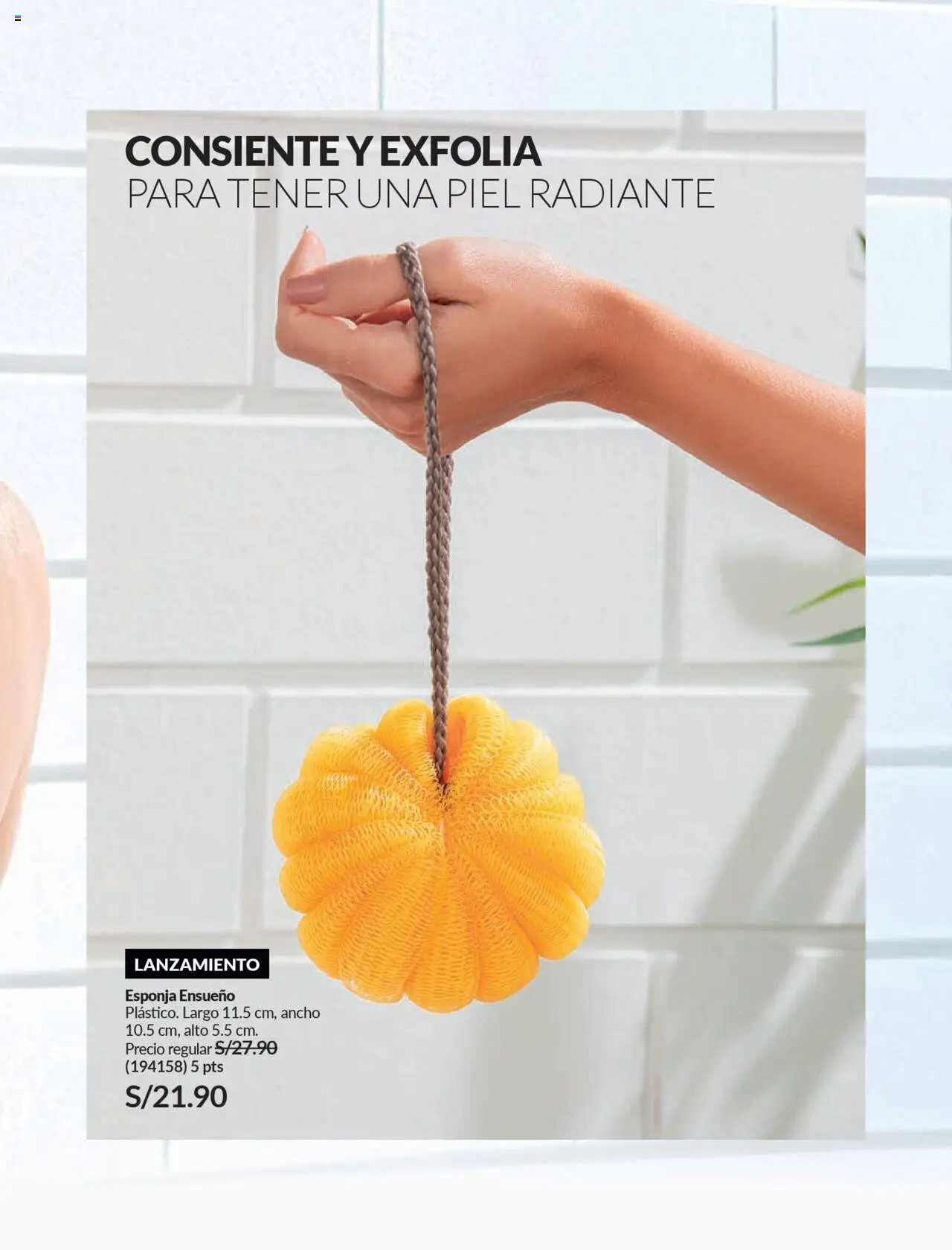 Catálogo Avon válido desde 11.08.2025 | Página: 183 | Productos: Esponja