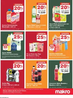 Makro - Sta Marta celebra con Makro -  Vista previa de la revista de la tienda Makro valido desde el 09.02.2026 | Página: 6
