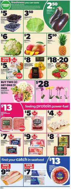 Preview of Independent Grocer flyer - AB from shop Independent Grocer valid from 16.04.2026 | Page: 5 | Products: Beef, Pineapple, Bag, Chicken
