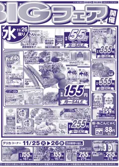 25.11.2025から有効なオファーを含む マルアイ - チラシ | ページ: 2