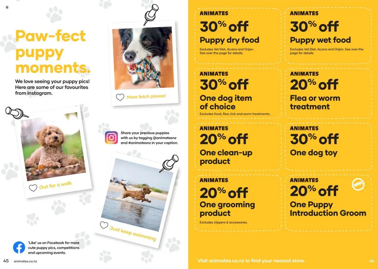 Animates catalogue from 01.01.2024 | Page: 24