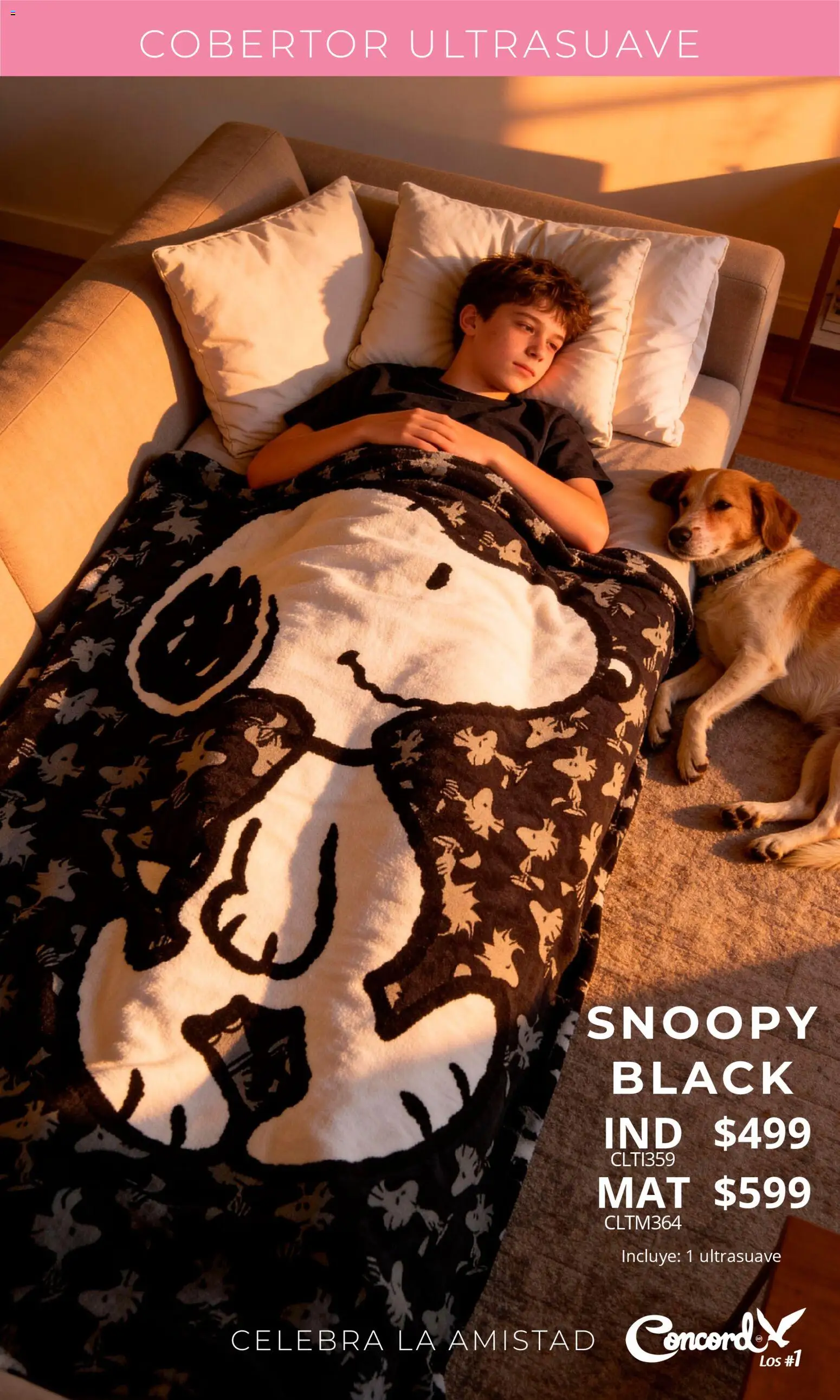 Nuevas ofertas de Colchas Concord válidas en toda la República Mexicana desde el 01.02.2026. ¡Encuentra las mejores ofertas en Colchas Concord catálogo San Valentín! | Página: 30