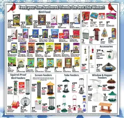 Preview of Ocean State Job Lot weekly ads valid from 11.12.2025 | Page: 21