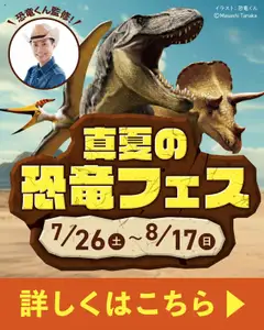 26.07.2025から有効なオファーを含む イトーヨーカドー - 専門店街 真夏の恐竜フェス
