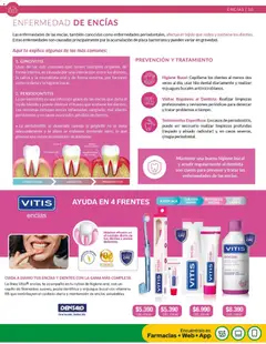 Cruz Verde - Bucal Pro válido desde el 01.03.2026 | Página: 10 | Productos: Bolsa, Cepillo, Enjuague bucal, Té