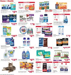 Preview of Family Fare weekly ads valid from 01.02.2026 | Page: 12 | Products: Cat Litter, Shampoo, Hammer, Dishwasher