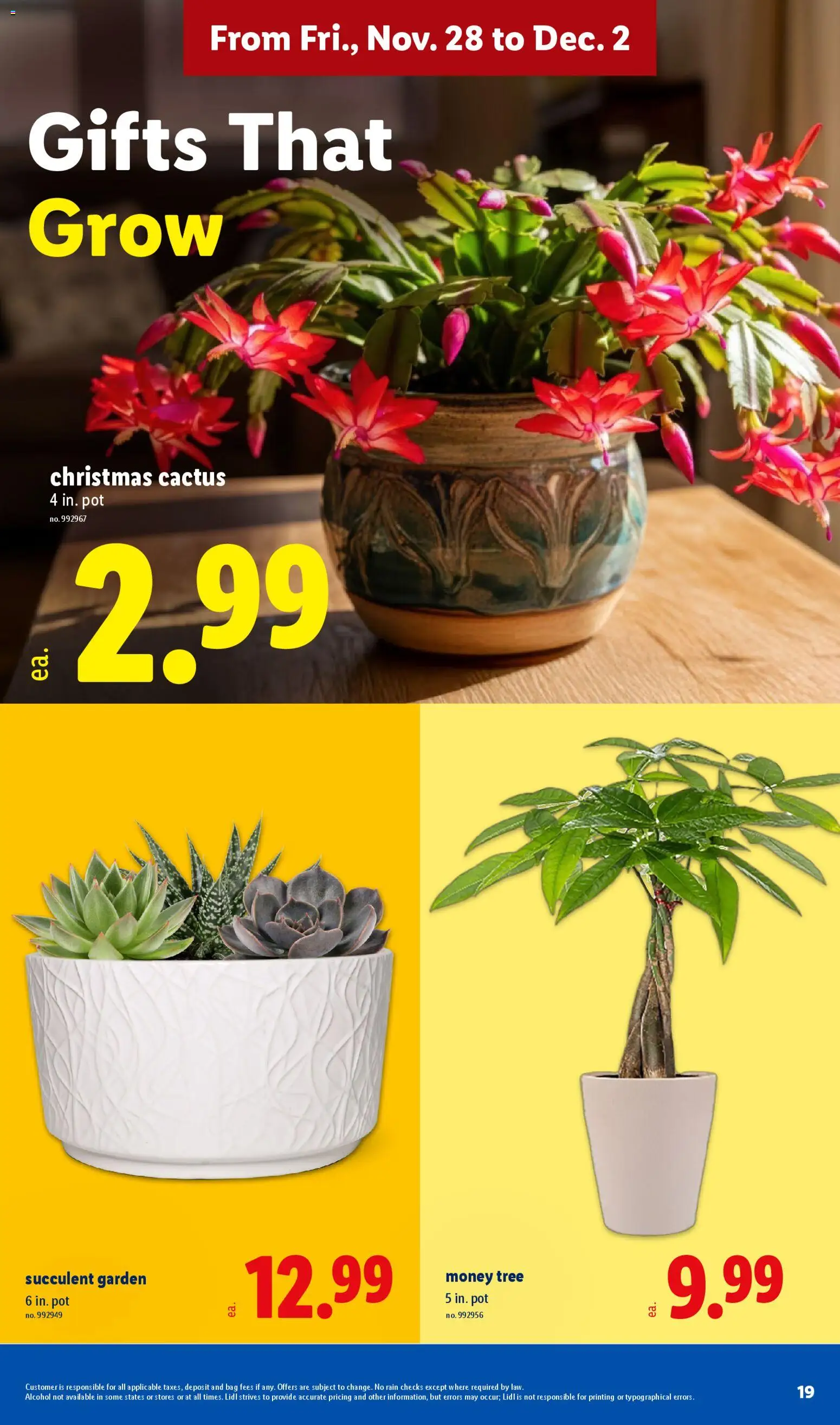 Lidl Black Friday - valid from 27.11.2025 | Page: 19 | Products: Bag