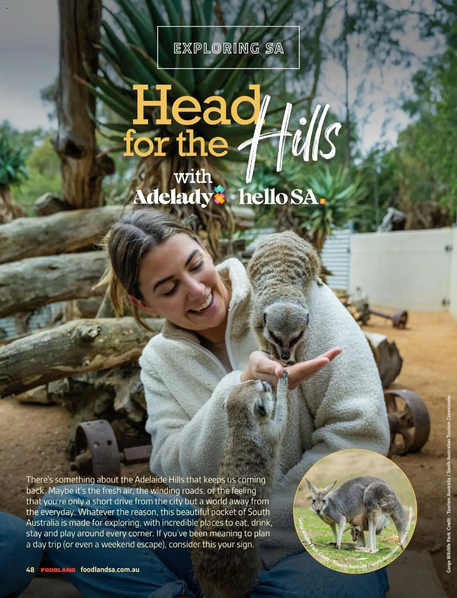 Foodland catalogue - valid from 06.03.2026 | Page: 48