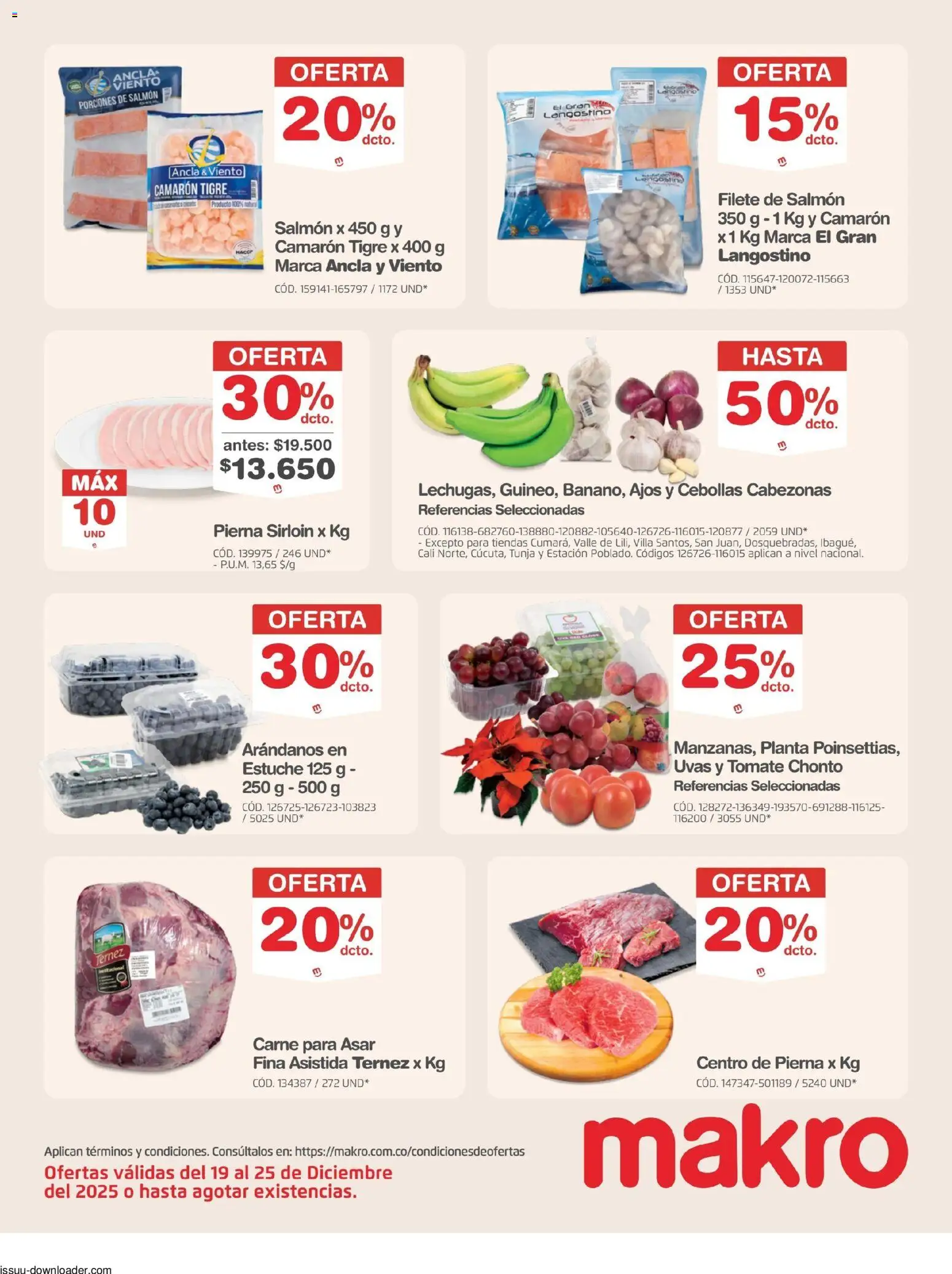 Makro revista - valida desde el 19.12.2025 | Página: 12 | Productos: Planta, Estuche, Arándanos, Tomate