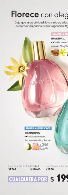 Vista previa de Oriflame campaña 6 2026, nuevo folleto de la tienda, válido en México a partir del 18.04.2026 | Página: 64 | Productos: Esponja, Brillo, Piña, Mascarilla