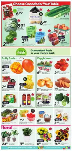Sobeys flyer valid from 24.07.2025 | Page: 7 | Products: Kiwi, Cucumbers, Bag, Basket
