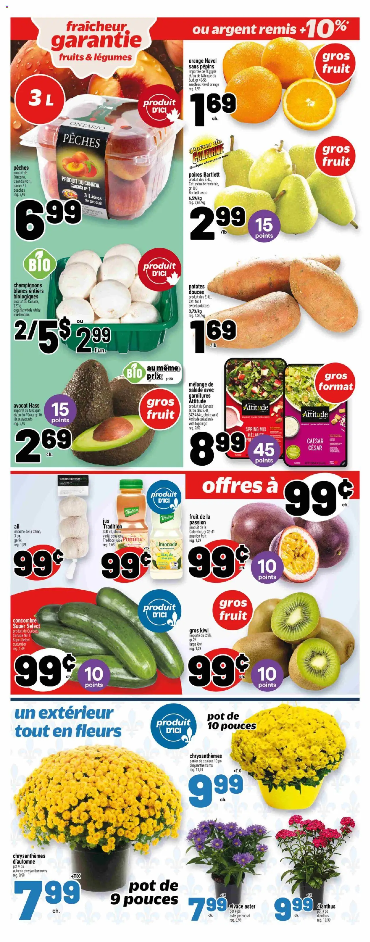 Metro flyer valid from 21.08.2025 | Page: 8 | Products: Kiwi, Salad, PC, Potatoes
