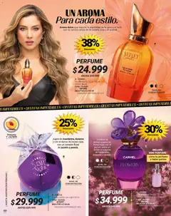 Carmel - Carmel C06 2026 -  Vista previa de la revista de la tienda Carmel valido desde el 01.06.2026 | Página: 256