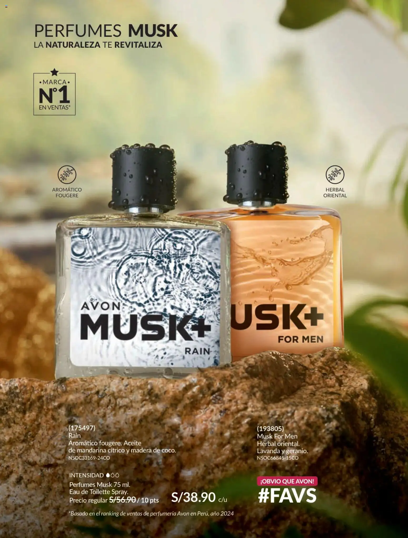 Catálogo Avon válido desde 31.01.2026 | Página: 81 | Productos: Aceite, Té, EAU de Toilette