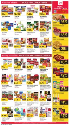 Preview of Basha's weekly ads valid from 26.12.2025 | Page: 3