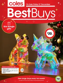Preview of Coles BestBuys - Kris Kringle gifts - valid from 05.12.2025 | Page: 1 | Products: Decor, Chain, Glasses, Usb