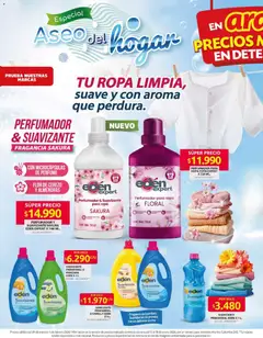 Ara - Ahorra con precios bajos y ofertas en la canasta familiar -  Vista previa de la revista de la tienda Ara valido desde el 29.01.2026 | Página: 4