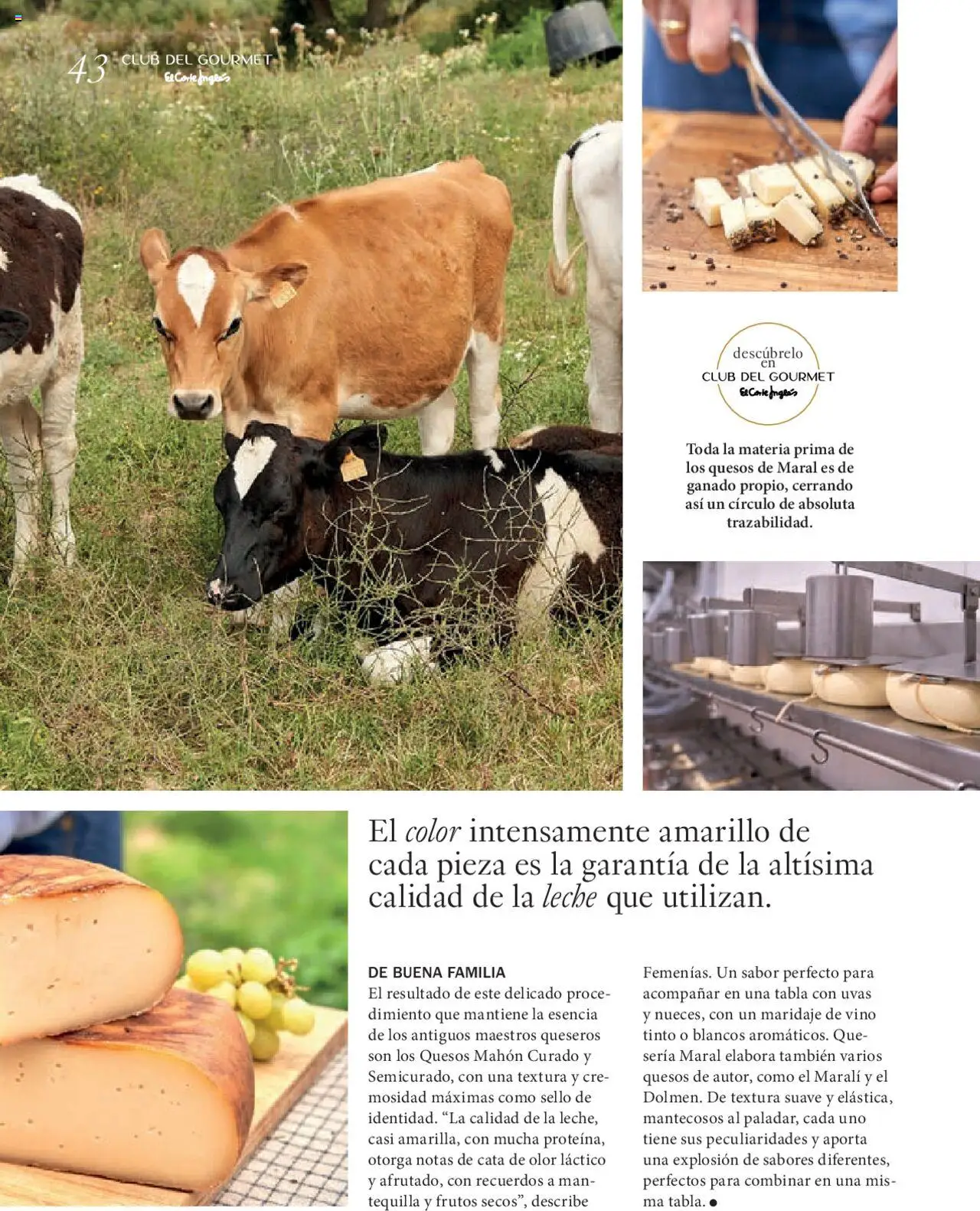 Nuevas ofertas de El Corte Inglés válidas en toda la República Mexicana desde el 27.06.2025. ¡Encuentra las mejores ofertas en El Corte Inglés Gourmet Magazin! | Página: 43 | Productos: Leche, Vino