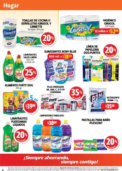 Vista previa de Farmacia Guadalajara catálogo, nuevo folleto de la tienda, válido en México a partir del 01.01.2026 | Página: 6 | Productos: Limón, Papel higiénico, Cocina, Toallas