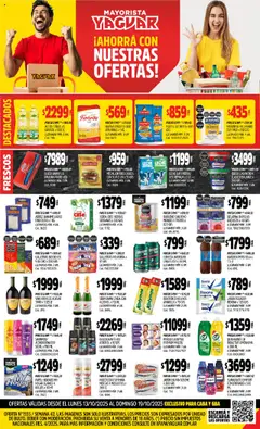 Vista previa Yaguar catálogo válido desde el 13.10.2025