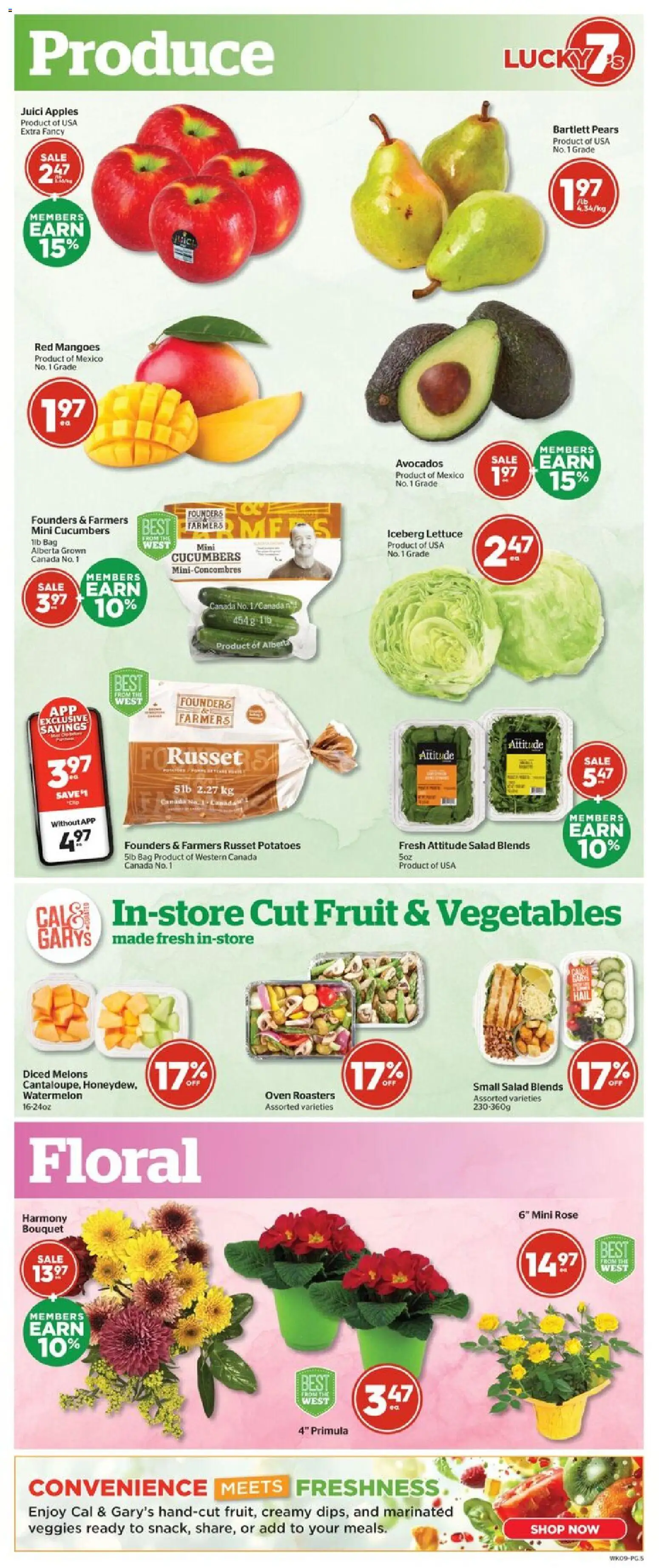 Calgary Co-op flyer valid from 02.01.2026 | Page: 5 | Products: Salad, Bag, Oven, Apples