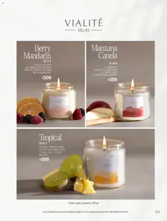 Vista previa de Vianney catálogo Primavera, nuevo folleto de la tienda, válido en México a partir del 07.03.2025 | Página: 205 | Productos: Manzana, Vela