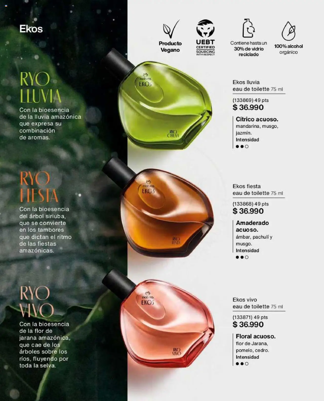 Natura catálogo │ válido desde el 16.06.2025 | Página: 32 | Productos: Eau de toilette, Sobre