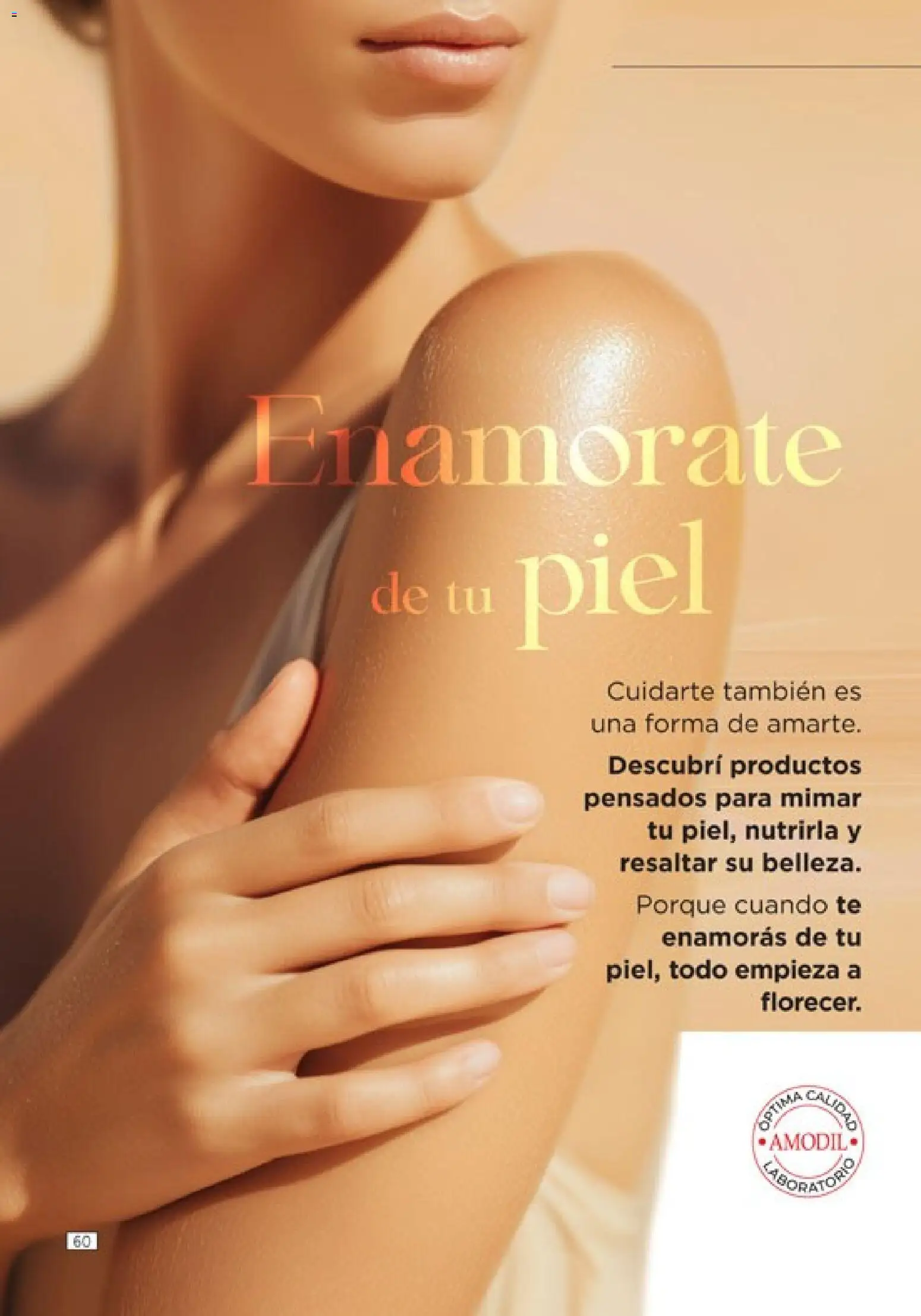 Catálogo Amodil Campaña 2 │ válido desde el 01.02.2026 | Página: 60 | Productos: Té