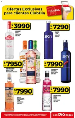 Supermercado DIA Ofertas │ válido desde el 20.08.2025 | Página: 46