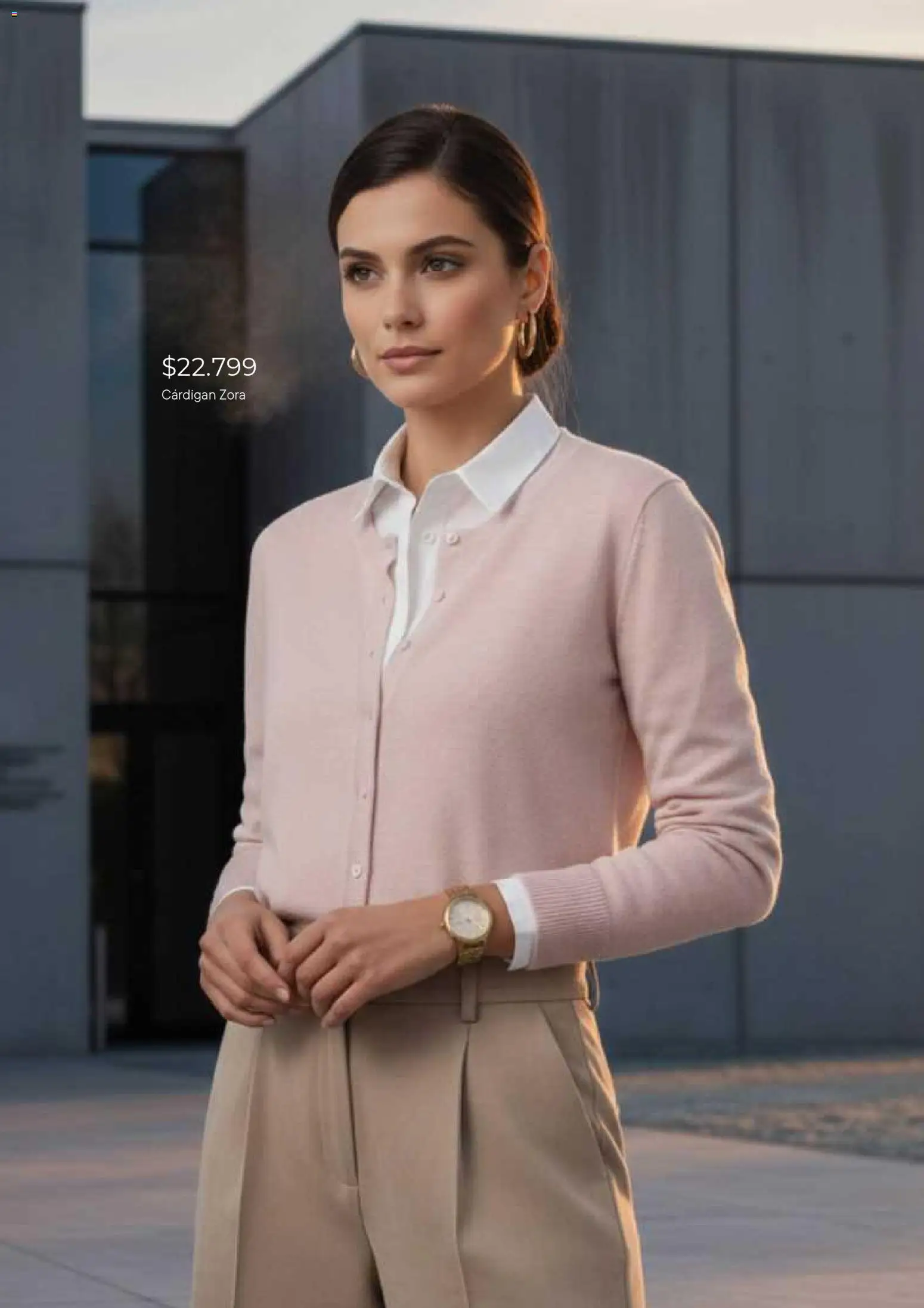 Mauro Sergio catálogo │ válido desde el 05.02.2026 | Página: 13