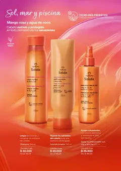 Natura - Catálogo Natura C03/2026 -  Vista previa de la revista de la tienda Natura valido desde el 01.03.2026 | Página: 139