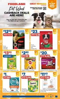 Preview of Foodland catalogue  - valid from 08.04.2026 | Page: 29