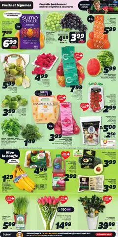 Preview of IGA weekly flyer / circulaire from shop IGA valid from 19.02.2026 | Page: 3 | Products: Potatoes, Juice, Tomatoes, Bananas