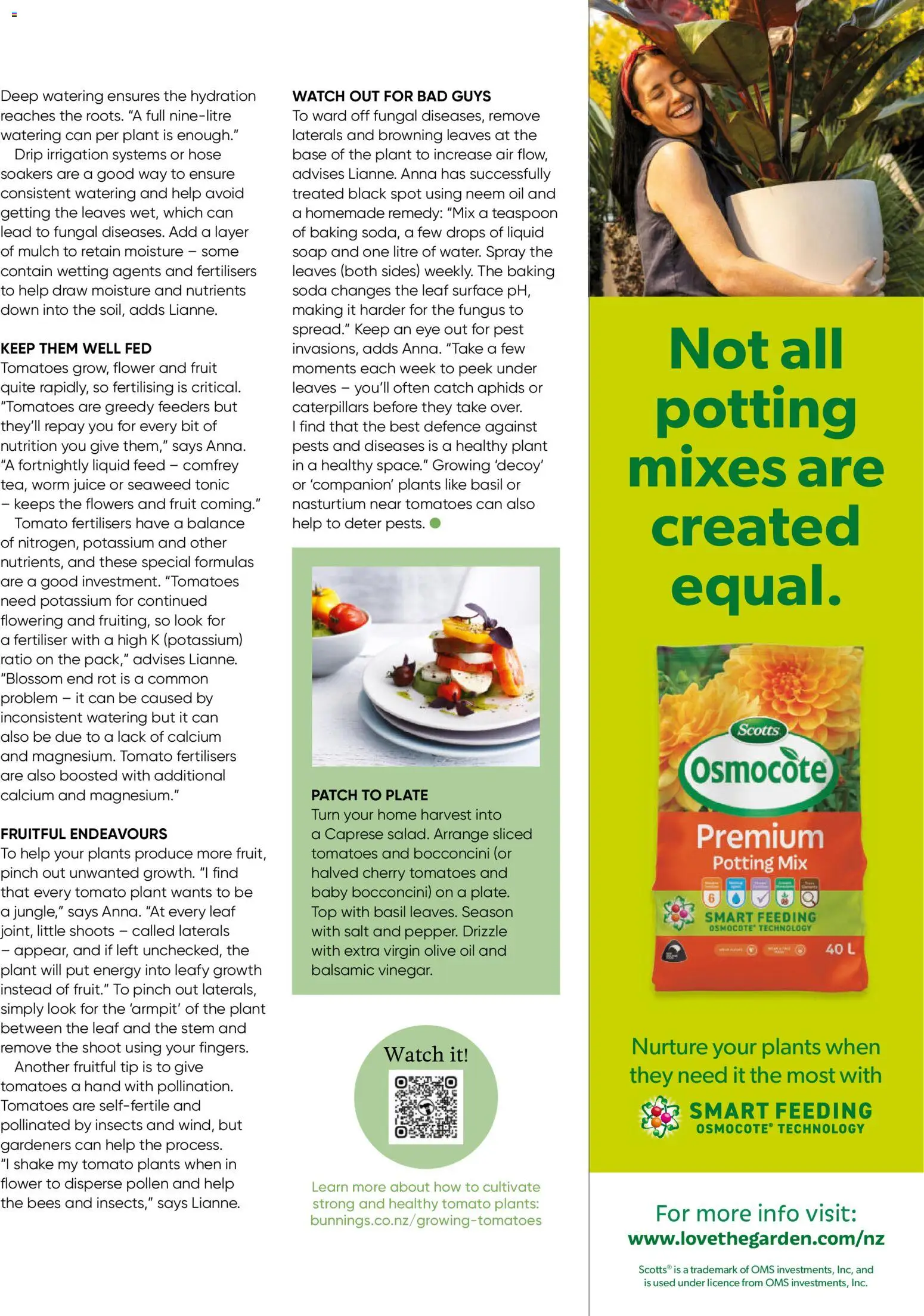 Bunnings Warehouse catalogue from 01.12.2025 | Page: 61