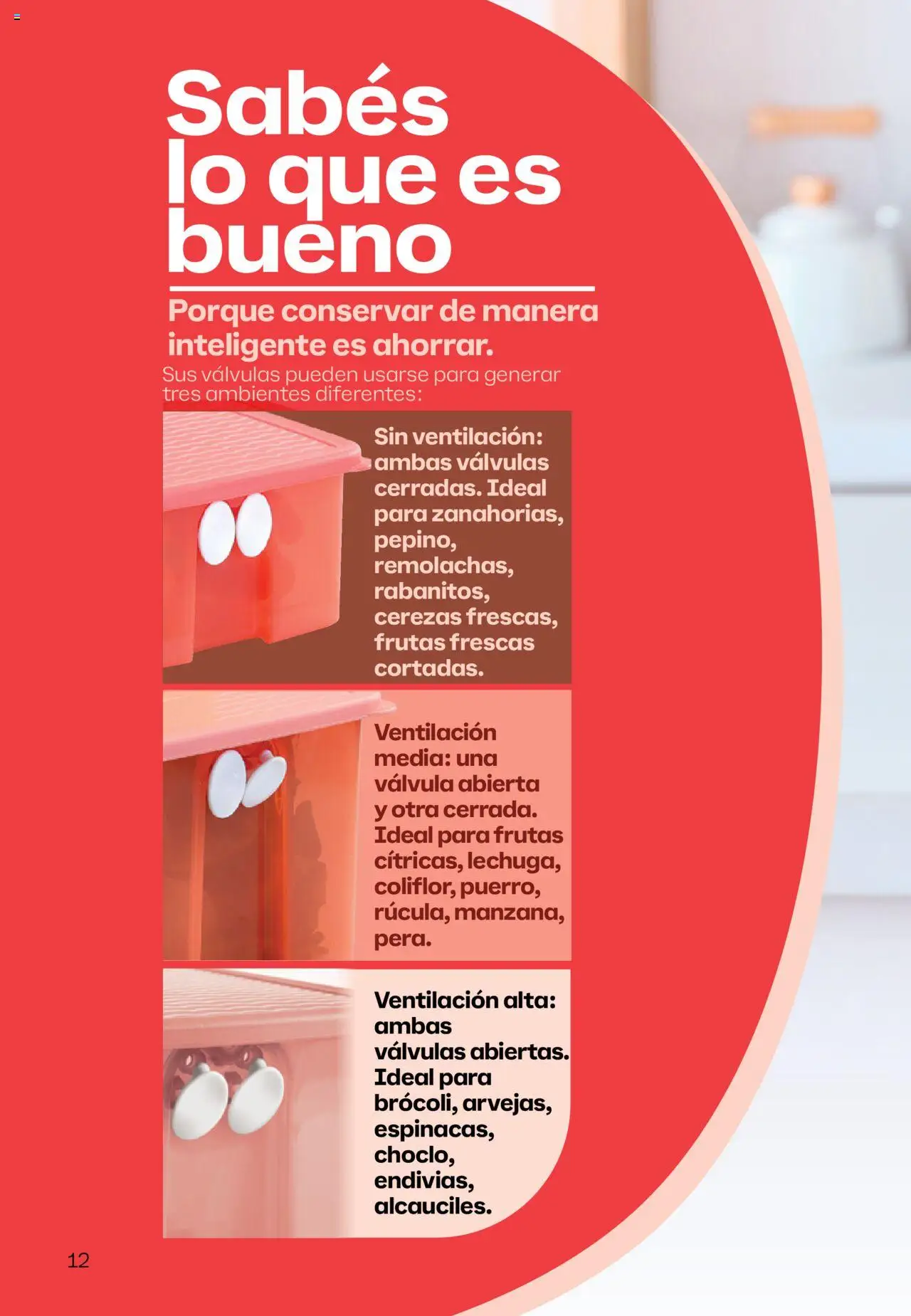 Tupperware Folleto │ válido desde el 14.05.2025 | Página: 13 | Productos: Cerezas