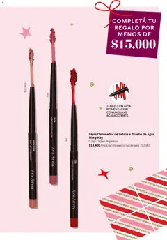 Vista previa Mary Kay catálogo válido desde el 01.11.2025 | Página: 19 | Productos: Delineador, Agua