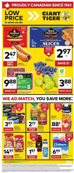Preview of Giant Tiger weekly flyer from shop Giant Tiger valid from 27.08.2025