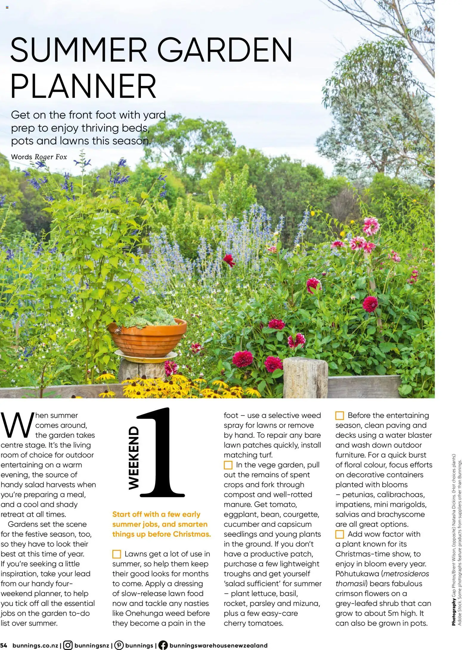 Bunnings Warehouse catalogue from 01.12.2025 | Page: 54