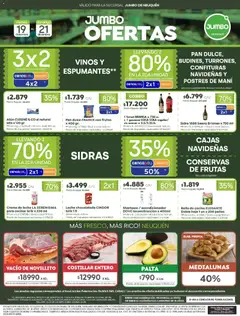 Vista previa Jumbo - Ofertas | Neuquén válido desde el 19.12.2025