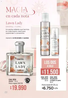 Vista previa Catálogo Amodil Campaña 17/2025 válido desde el 14.10.2025 | Página: 70 | Productos: Desodorante, Radiante