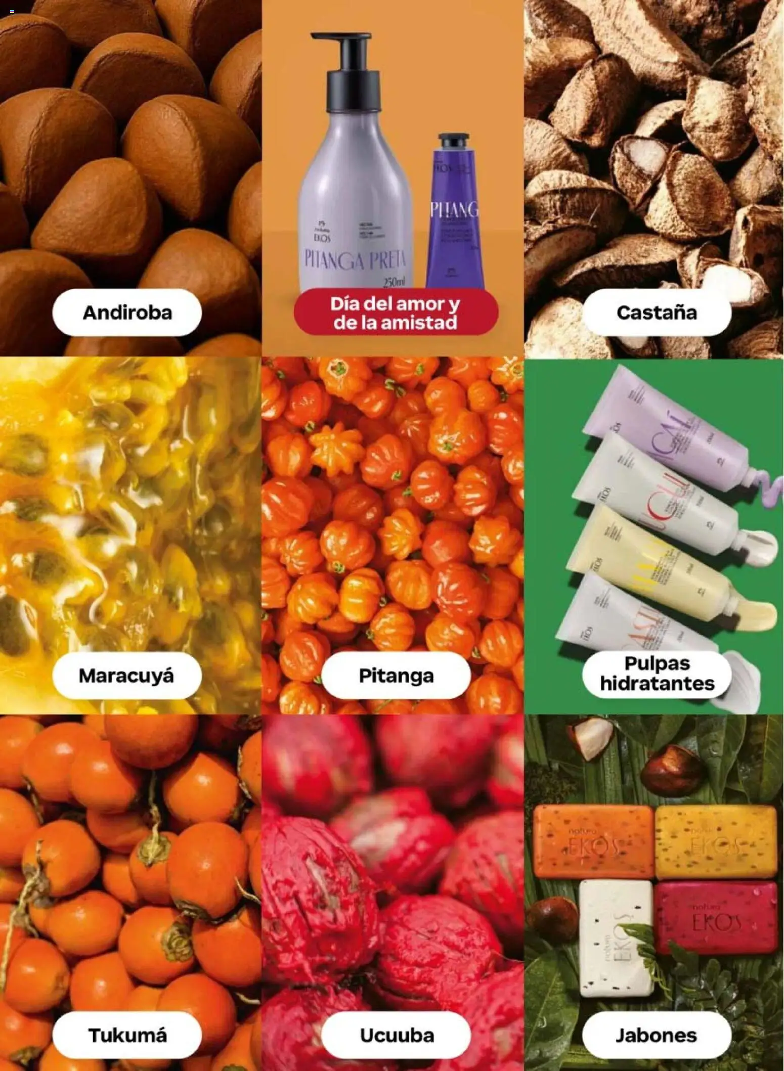 Nuevas ofertas de Natura válidas en toda la República Mexicana desde el 30.01.2026. ¡Encuentra las mejores ofertas en Natura campaña 3 2026! | Página: 116